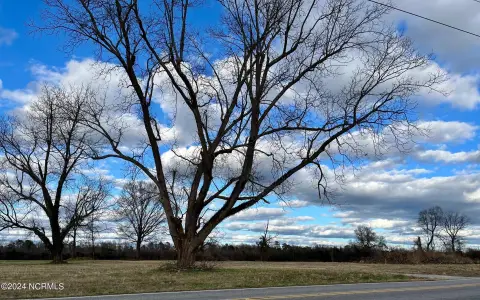50-Acre Land Tract in Whiteville