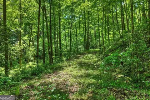 Wooded Lot in Gated Community