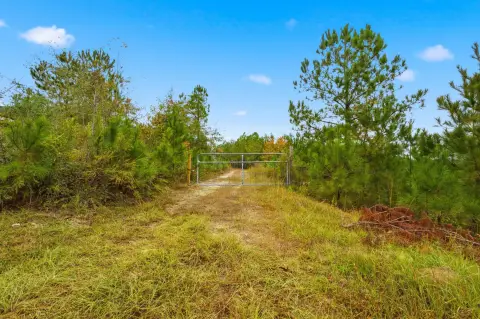 Aiken Land with Pond