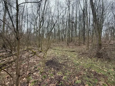 34 Acres of Hunting Land