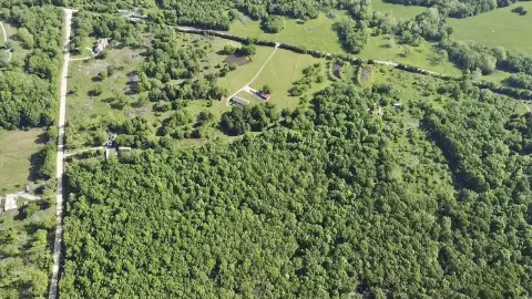 Wooded Hunting and Building Acreage