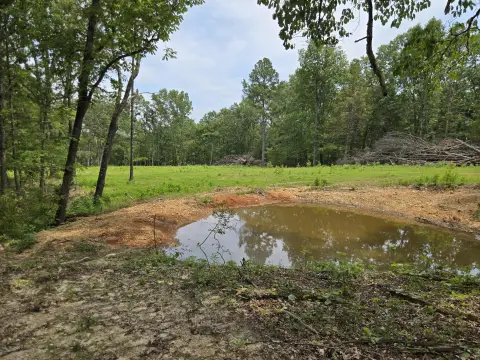 Hunting Land with Food Plots