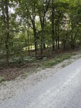 Wooded Lake-Community Lot