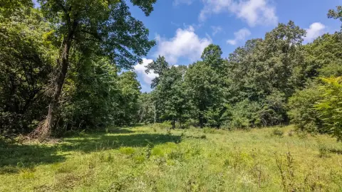 Wooded Hunting Tract with Creek