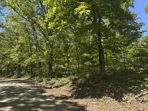 Ozark Land with Natural Spring