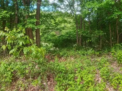 Secluded Wilderness Retreat in Tahlequah