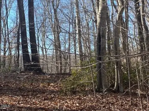 Waterfront Land in Bullock, NC