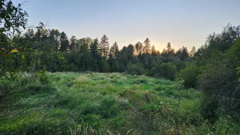 Land Near Dragoon Creek