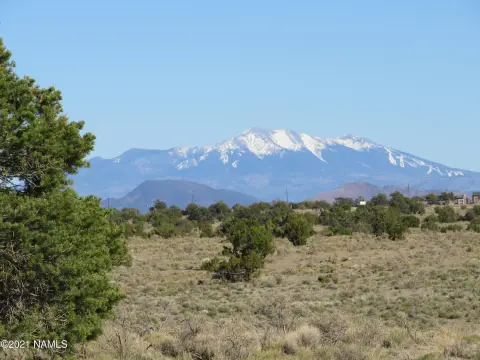 36 Acres of High Desert Beauty