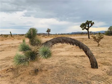 Build-Ready Corner Lot in Yucca