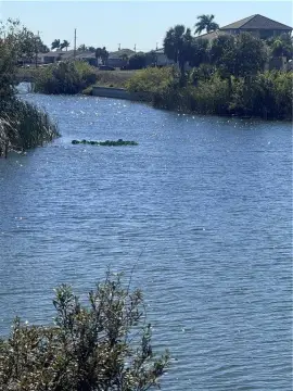 Waterfront Land in Cape Coral