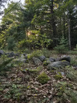 Wooded Recreation Land