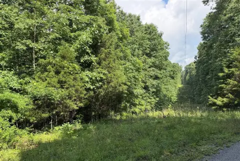 Wooded Hunting and Recreation Land