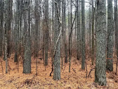 Union Mills Land with Creek