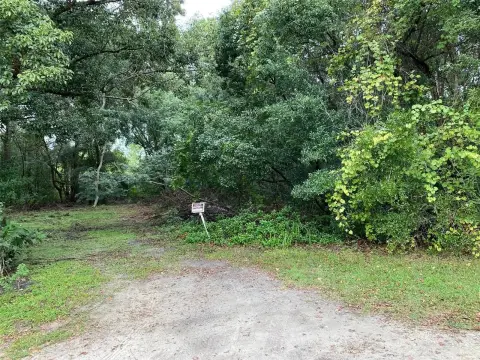 Mount Dora Buildable Lot