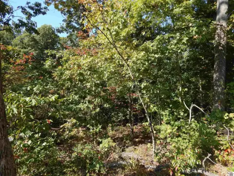 Waterfront Lot on Private Lake