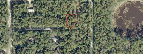 Land in Ocala National Forest