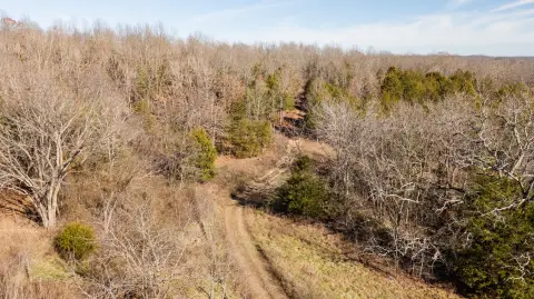 83 Acres Hunting and Recreational Land