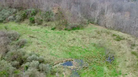 Large Acreage Near Loretta Lynn Homeplace