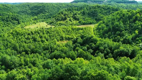 Recreational Land with Trail Systems