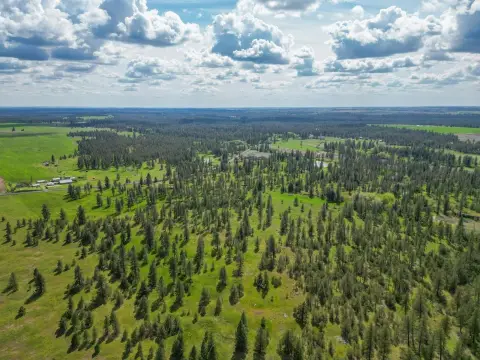 Land with Wooded Privacy