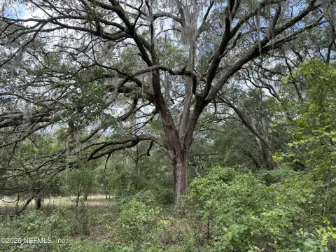 Wooded Waterfront Homesite Land