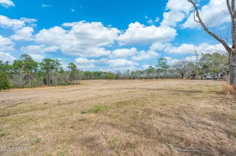 Partially Cleared Pecan Acreage