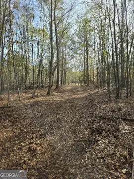 Rural Homesite and Recreational Land