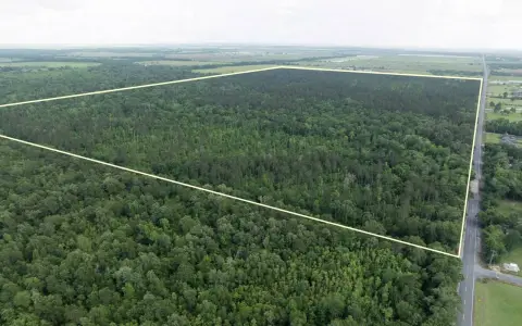 233 Acres Timberland Near Iowa