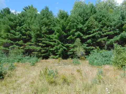 Wooded Recreation Land
