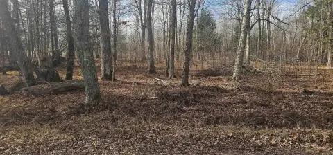 Water-Access Buildable Lot