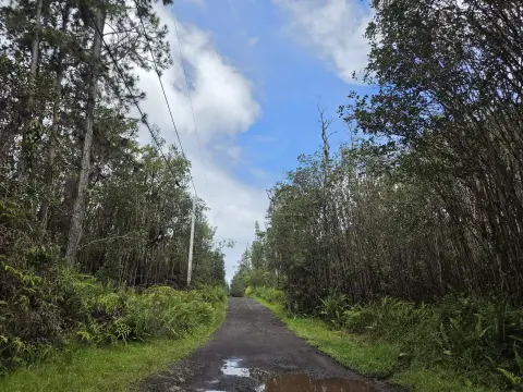 Agricultural Land Parcel