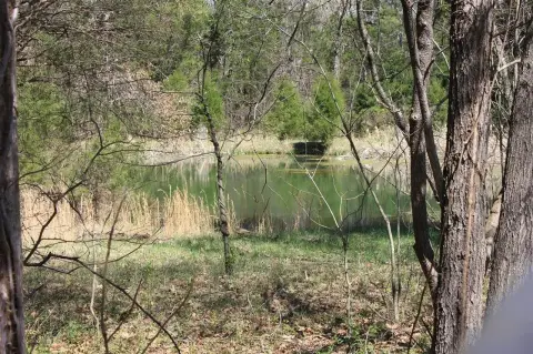 Agricultural Land with Barns and Pond