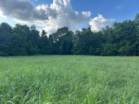 Wooded Hunting Land with Roadfront Acreage