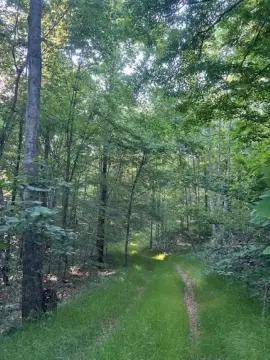 Wooded Hunting and Recreation Land