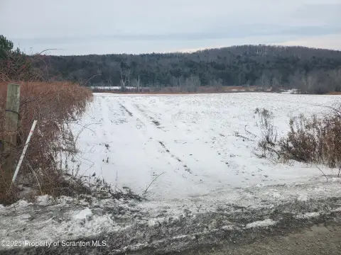 Montrose Land with Mineral Rights