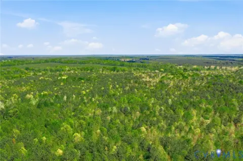 Dinwiddie Land with Lake Access