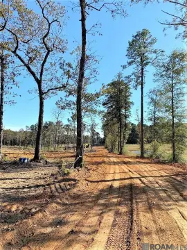 Acreage Lot with Road Frontage