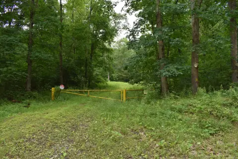 Managed Woodland Land