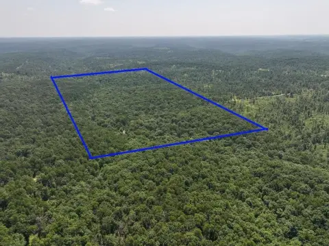 Recreational Hunting Land Tract