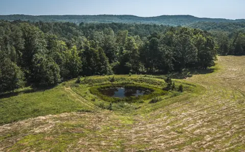 Recreational Hunting Land with Pond