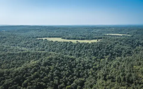 Recreation Hunting Land Tract