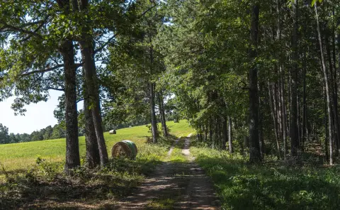 Recreational Hunting Land Tract