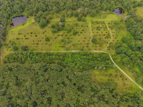Waterfront Hunting Land with Ponds