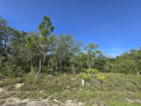 Vacant Land in Poinciana