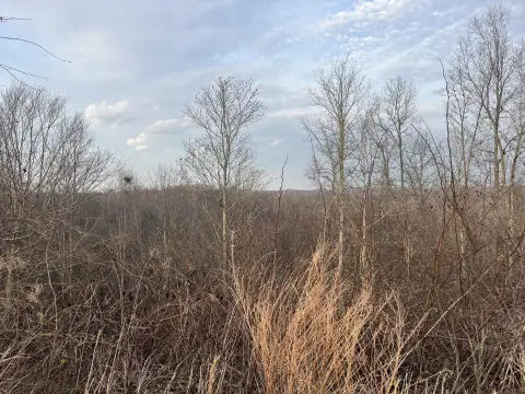 Beattyville Land Parcel For Sale