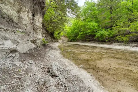 7 Acres of Wooded Land
