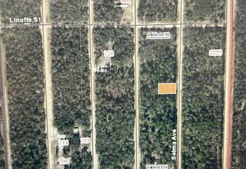Vacant Lot in Interlachen Lake