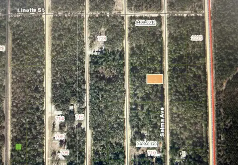 Vacant Lot in Interlachen