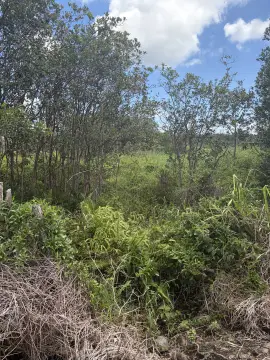 Level Agricultural Land Parcel